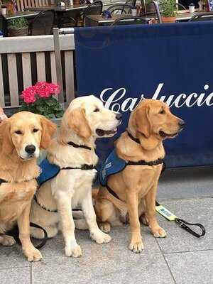 Carluccio's Neo Bankside
