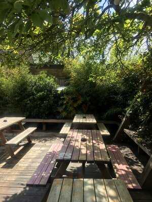 Watson's General Telegraph