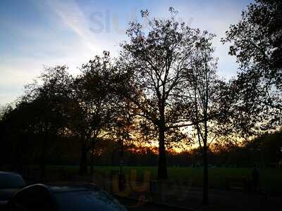 The Daily Grind: Artisan Coffee