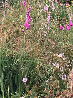 Unity Kitchen Cafe & Events