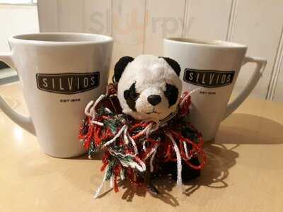 Silvio's