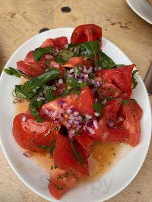 Brat At Climpson's Arch