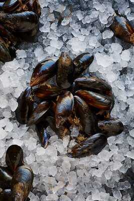 Sutton And Sons Fishmongers