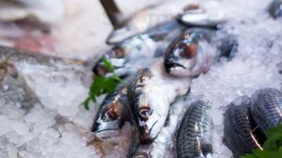 Sutton And Sons Fishmongers