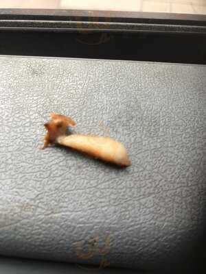 Photo 4