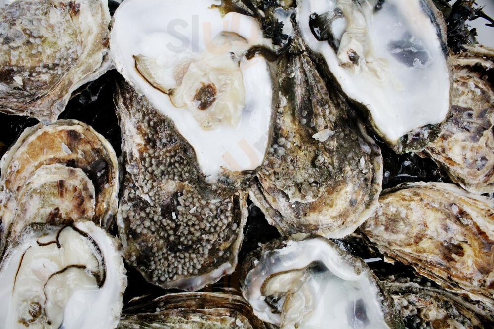 Twentysix Oyster Bar
