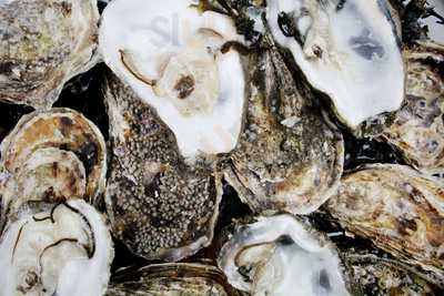 Twentysix Oyster Bar