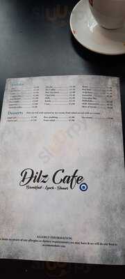Dilz