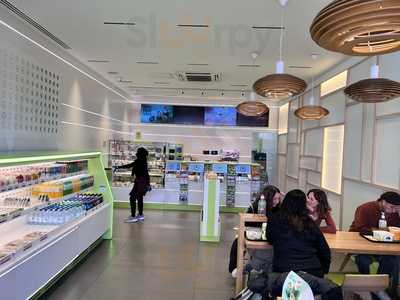 Wasabi Sushi & Bento