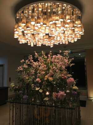 The Green Parrot Bar