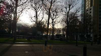 Department Of Coffee And Social Affairs