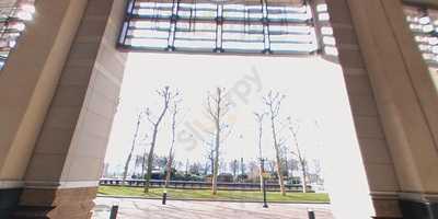 Department Of Coffee And Social Affairs