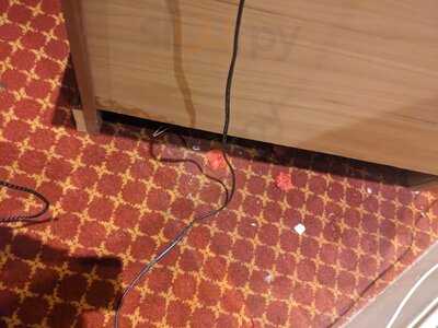 The Colonnade London