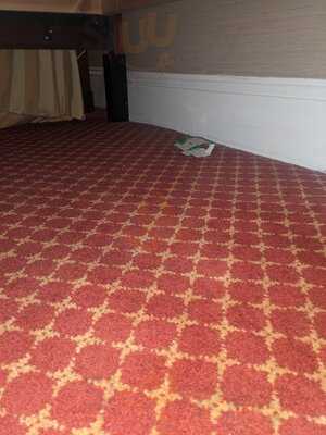 The Colonnade London