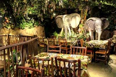 Rainforest Cafe