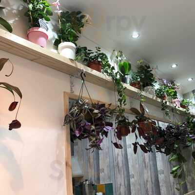 Tra Garden Bubble Tea