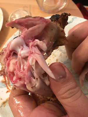 Dixy Grill And Pizza