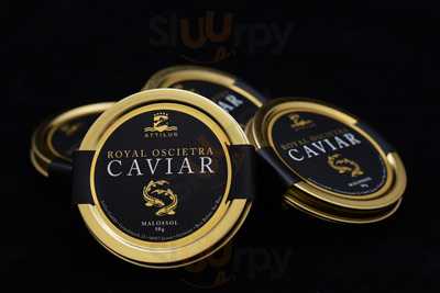 Attilus Caviar