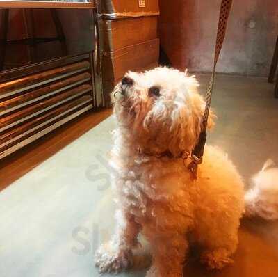 Well Street Pizza Peckham - Closed