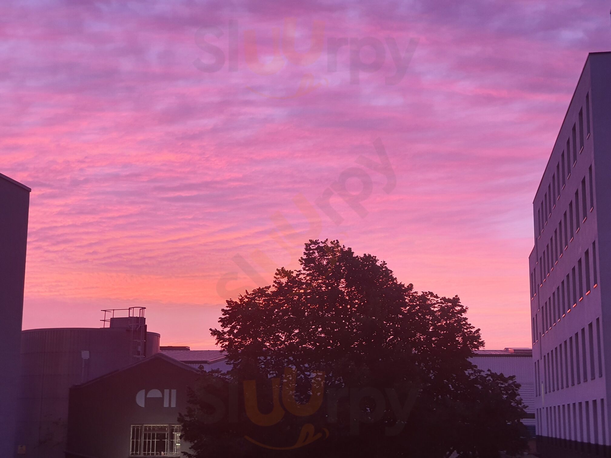Perfect Fried Chicken