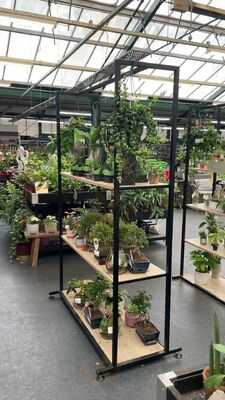 Dobbies Garden Centre