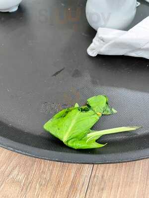 Dobbies Garden Centre