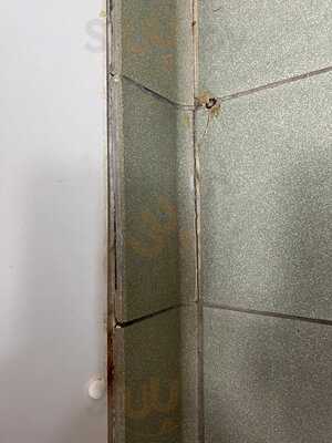 The Potters Heron Pub & Restaurant