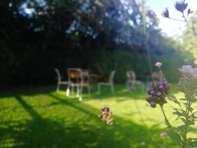 Ettington Insomnia Ettington