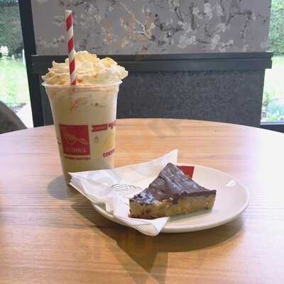 Ettington Insomnia Ettington