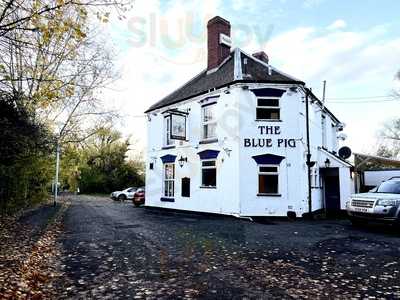 The Blue Pig