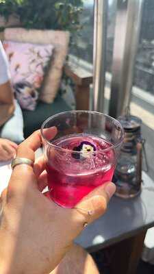 The Nest In Treehouse