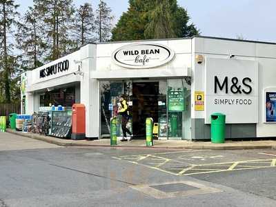 Wild Bean Cafe
