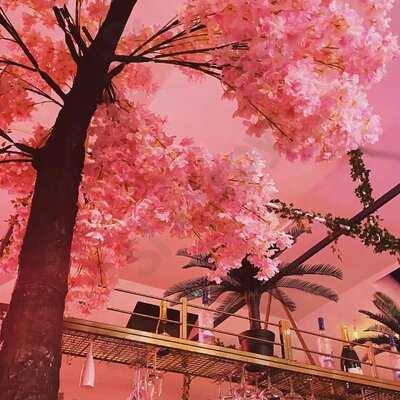 The Treehouse Bar & Restaurant