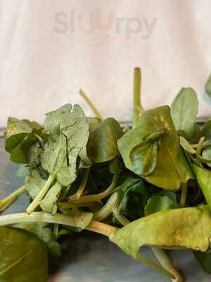 The Botanist, Warrington