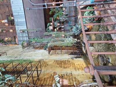 The Botanist, Warrington