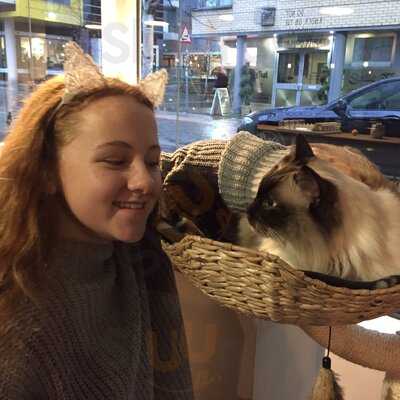 Cat Cafe