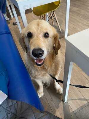 Barking Mad Coffee & Cakes