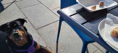 Barking Mad Coffee & Cakes