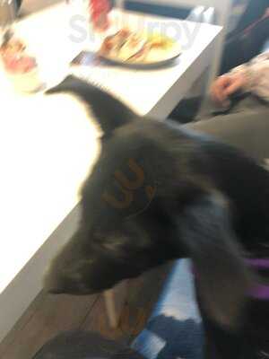 Barking Mad Coffee & Cakes