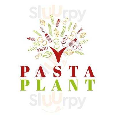 Pasta Plant