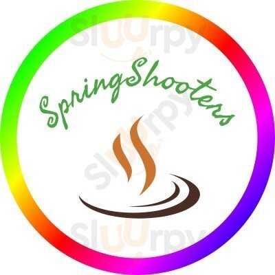 Springshooters
