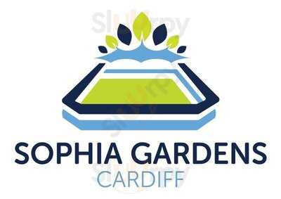 Mint Leaves  Real Indian Food