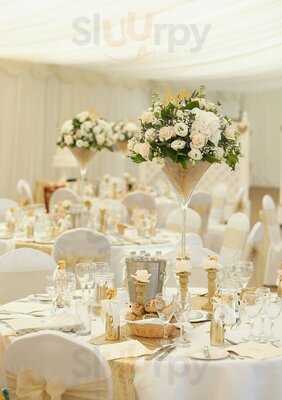 Mint Leaves  Real Indian Food