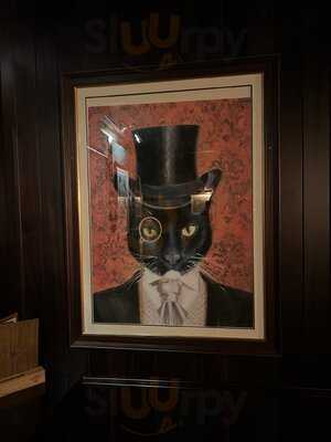 The Bankers Cat