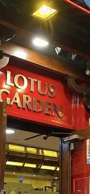 Lotus Garden Chinese Restaurant