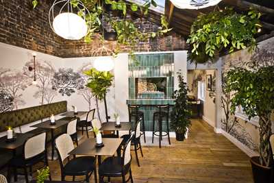 The Butterfly And The Grasshopper