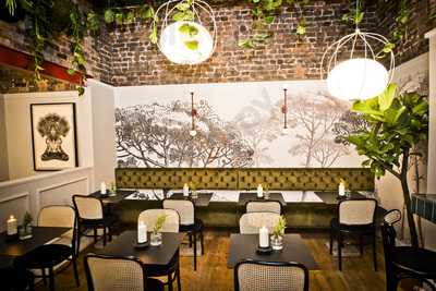 The Butterfly And The Grasshopper