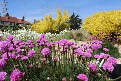 The Island At The Waterways