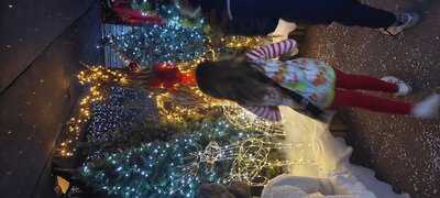 Elm Court Garden Centre