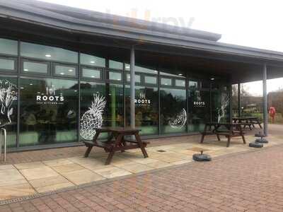 Roots Kitchen